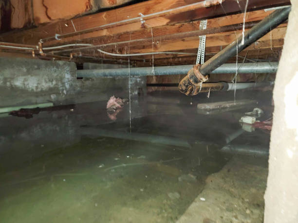 Pontiac, MI Water damage restoration Company