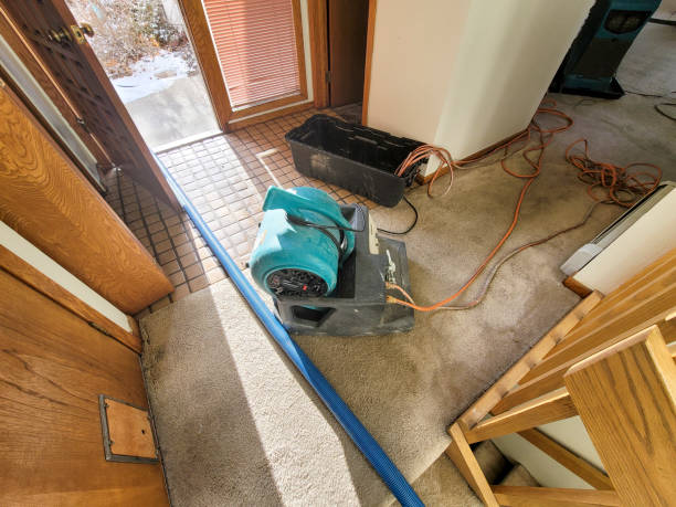 Best Residential water damage restoration  in Pontiac, MI