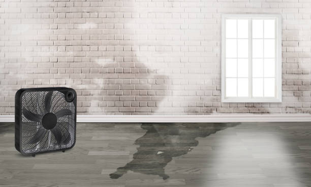 Best Flood restoration services  in Pontiac, MI