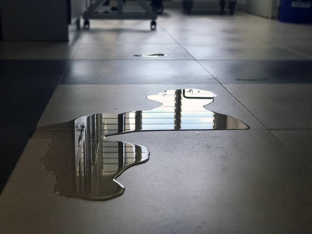 Best Water damage restoration near me  in Pontiac, MI