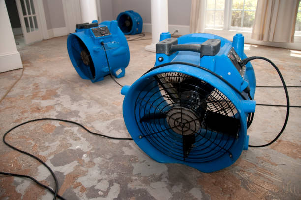 Best Fire Damage Restoration  in Pontiac, MI