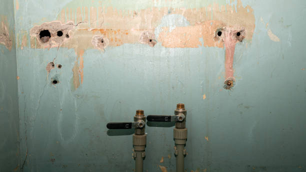 Best Water damage restoration specialists  in Pontiac, MI