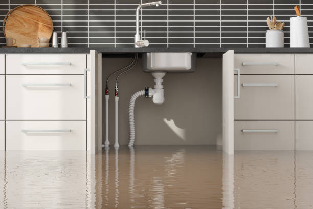 Best Professional water damage repair  in Pontiac, MI
