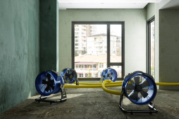 Best Flood restoration services  in Pontiac, MI