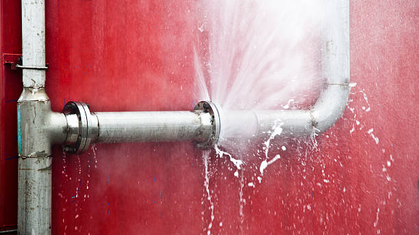 Best Water damage restoration mold remediation  in Pontiac, MI